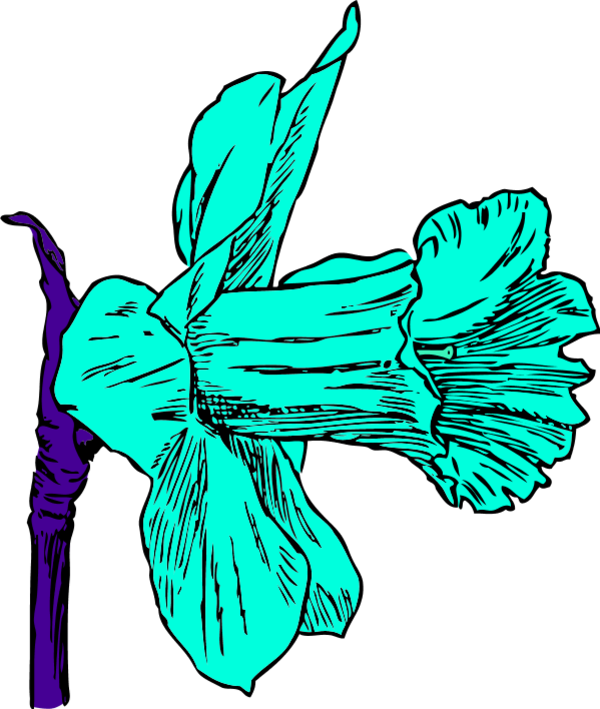 Daffodil Flower Clip Art - Daffodil Clip Art (600x709)