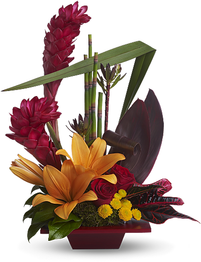 Shop For Tropical Flowers - Contemporary Flower Arrangement Ideas (400x521)