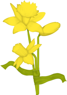 Daffodils - Sticker (300x450)