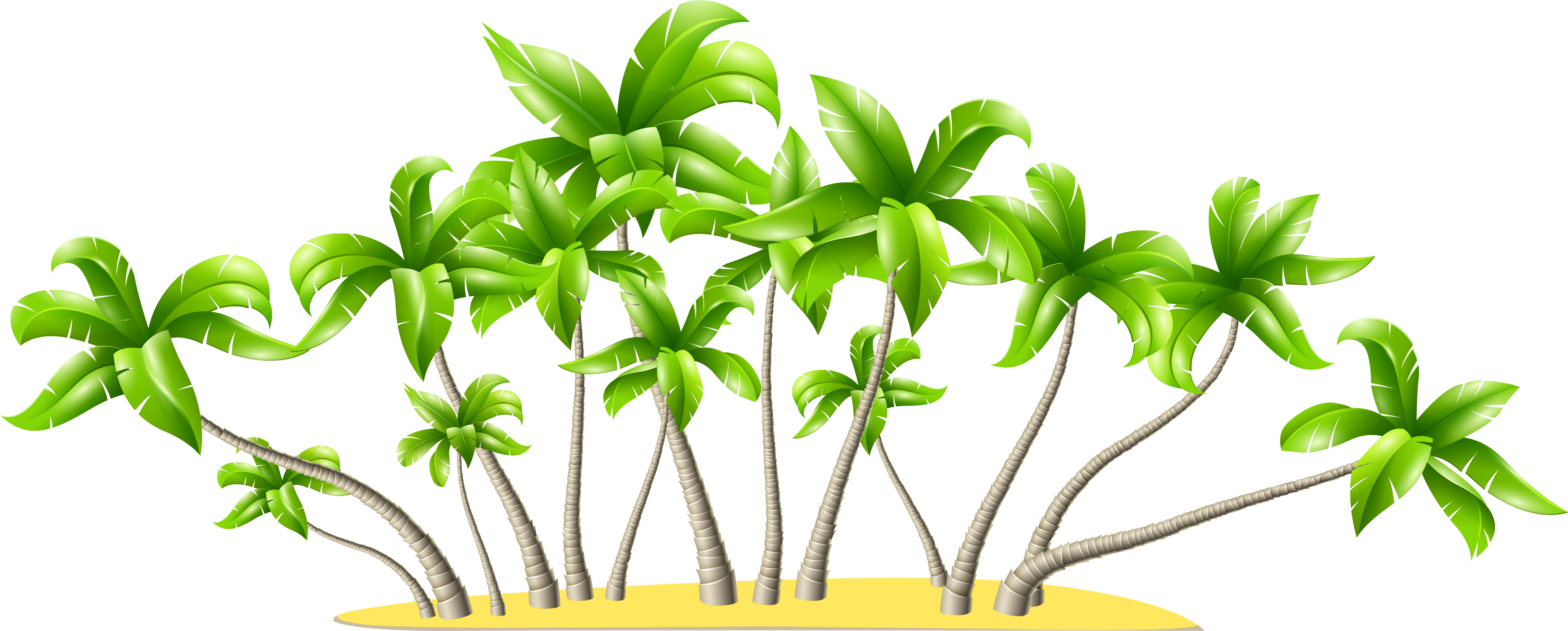 Palm Tree Clipart Tropical Flower - Palm Trees Clip Art Png (5065x2157)