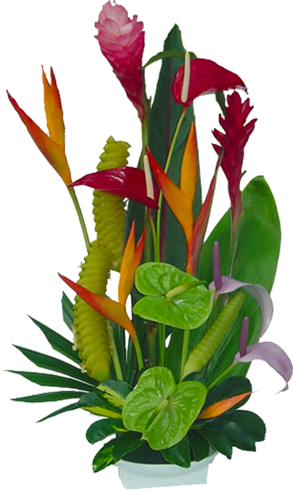 50 Previous Next - Tropical Jungle Flower Arrangement (1200x1200)