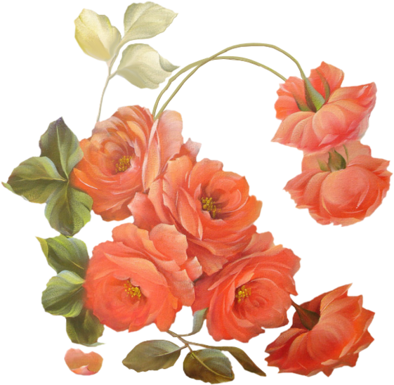 Peach Flowersdrawing - Fete Des Grand Mere Fleur (600x600)