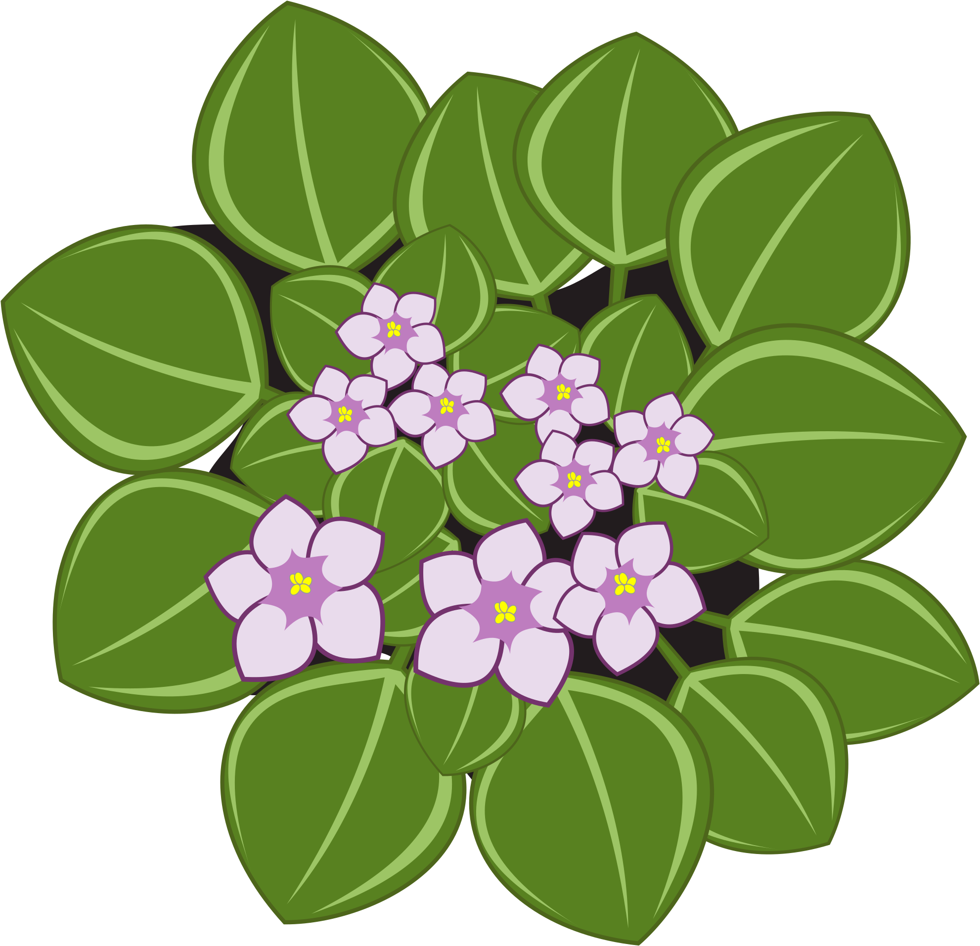 Clipart - African Violets (2400x2400)