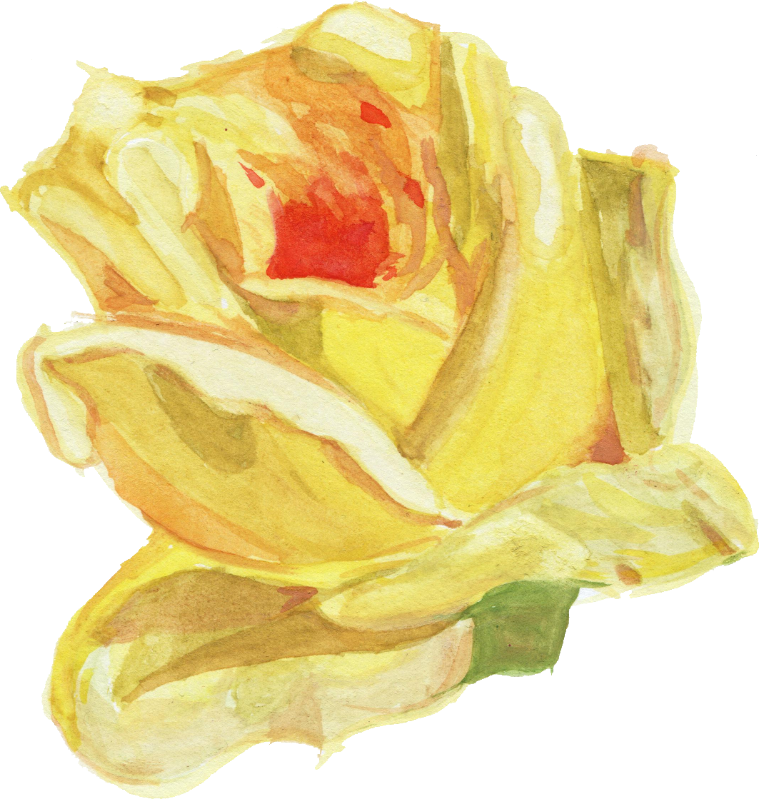 Free Download - Yellow Flower Watercolor Png (1063x1119)