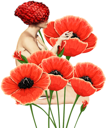 Publicat De Eu Ciresica La - Salt Houses By Hala Alyan (389x550)