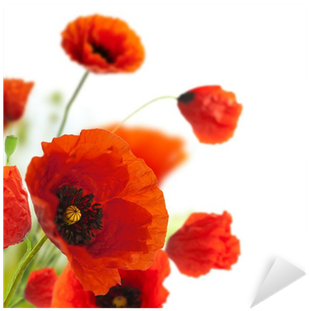 Floral Design, Decoration Flowers, Poppies Border - First Heating Wist Ng Infrarot-bildheizung 60 X 60 (400x400)