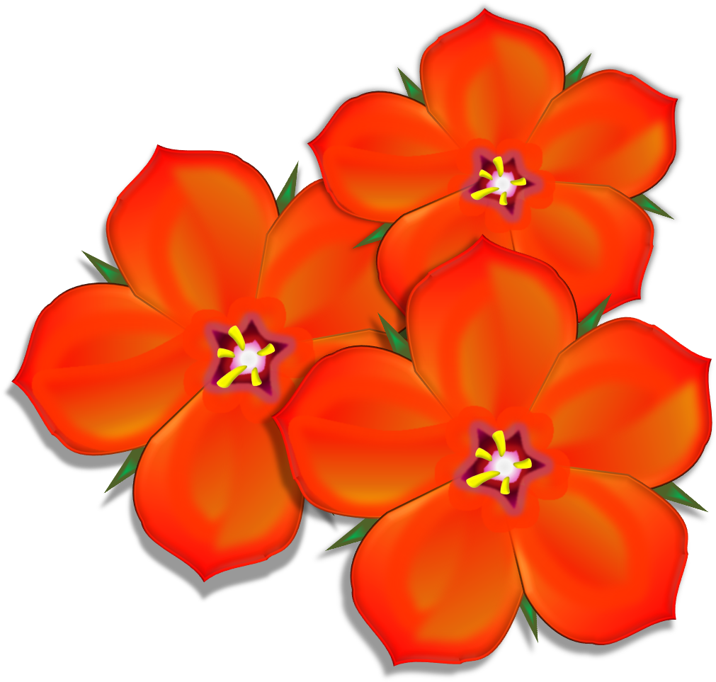 Scarlet Pimpernel Group Image - Scarlet Pimpernel Flower Cartoon (1069x1006)