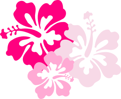 Pink Flowers Cartoon 22 High Resolution Wallpaper Within - Hawaii Flower (480x392)