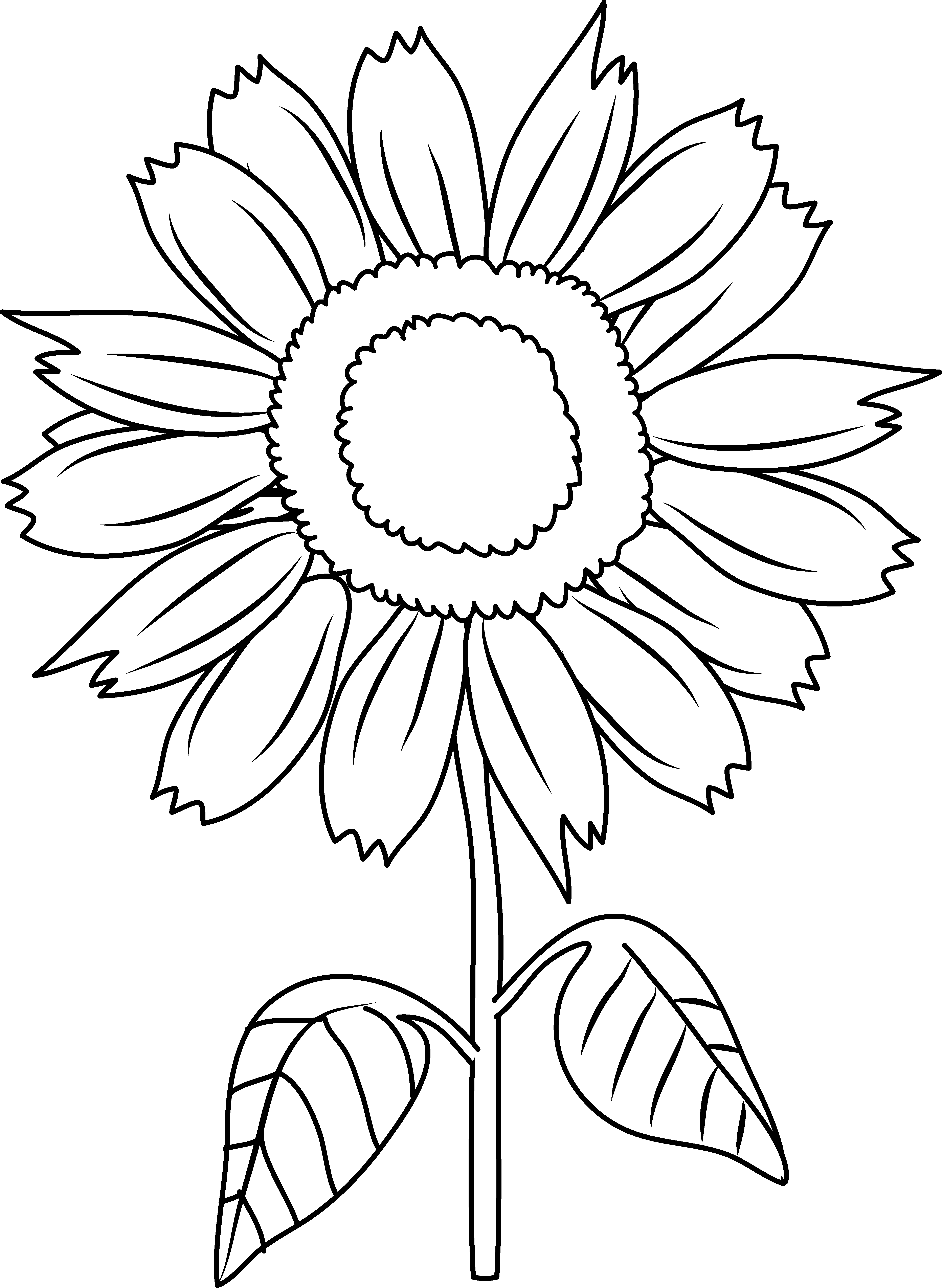 Download and share clipart about Pretty Sunflower Coloring Page - Sun Flowe...