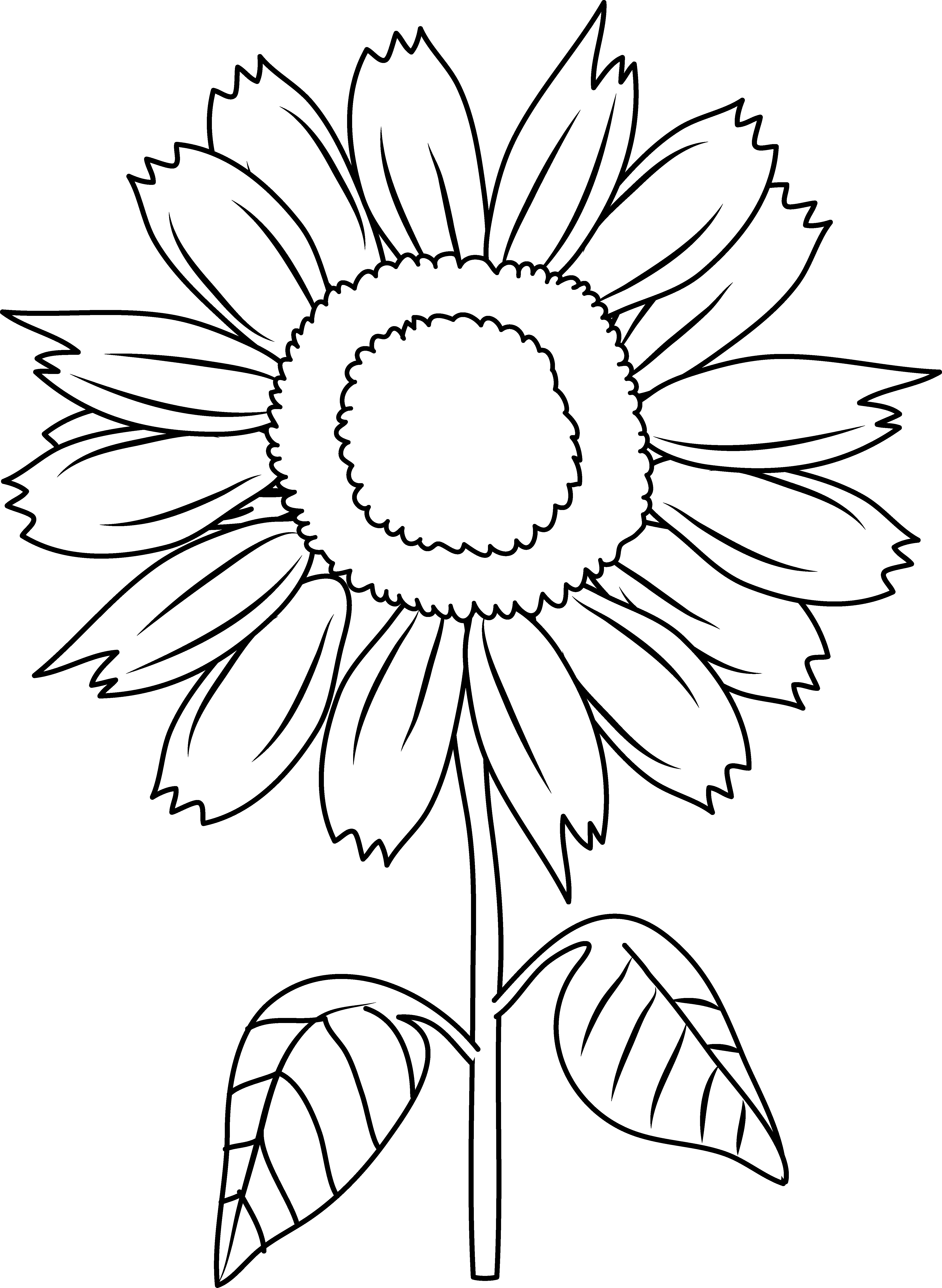 Pretty Sunflower Coloring Page - Sun Flower In Cartoon (4668x6382)