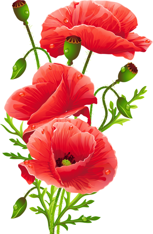 Flower Bouquet Common Poppy Floristry - Artistic Red Poppies Shower Curtain (524x800)