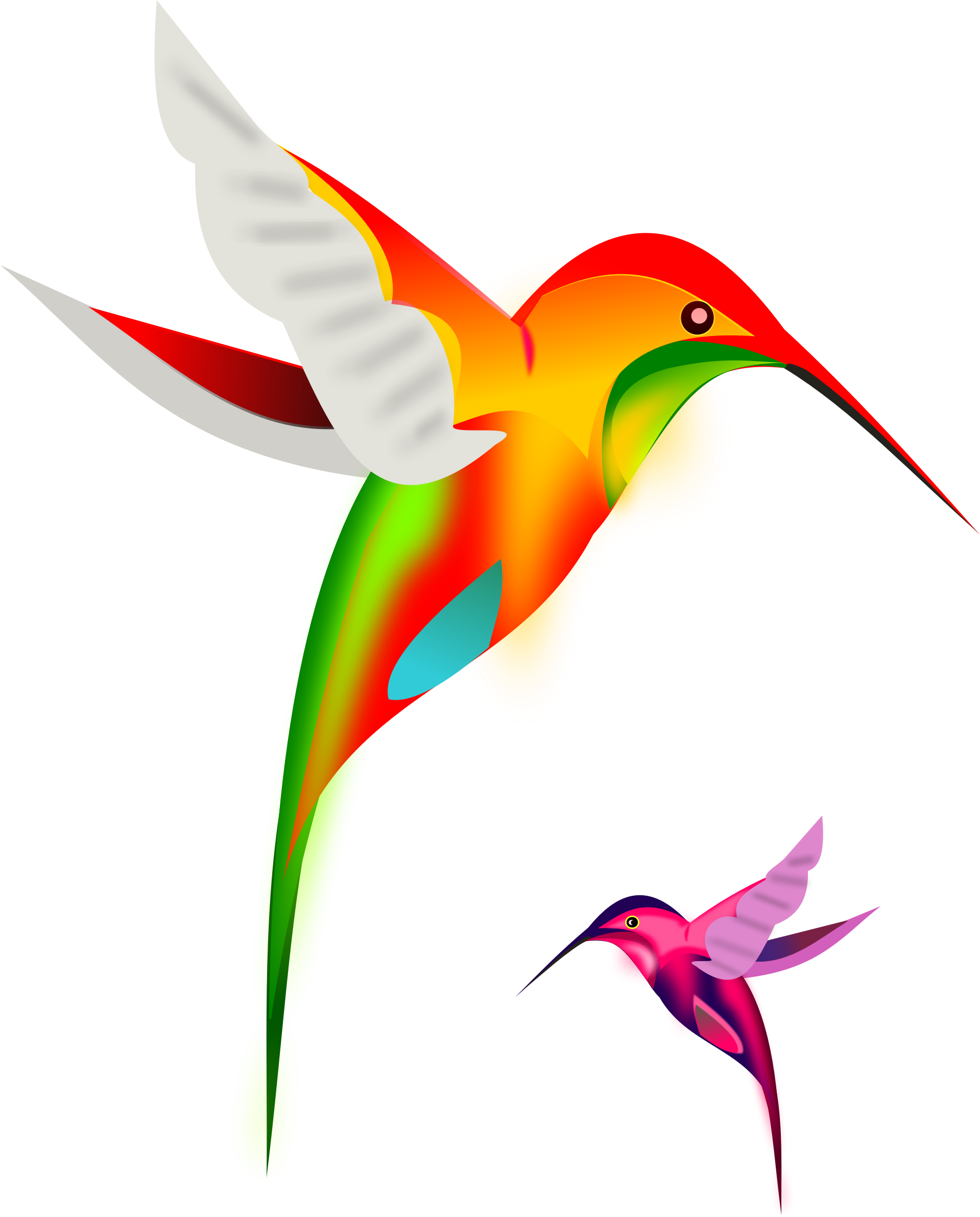 Free Colibri Birds - Colorful Hummingbirds Throw Blanket (1919x2383)
