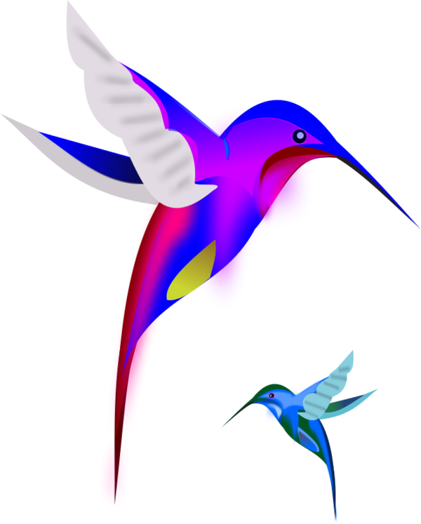 Colibri Birds Vector Clip Art - Colorful Hummingbirds Throw Blanket (600x747)