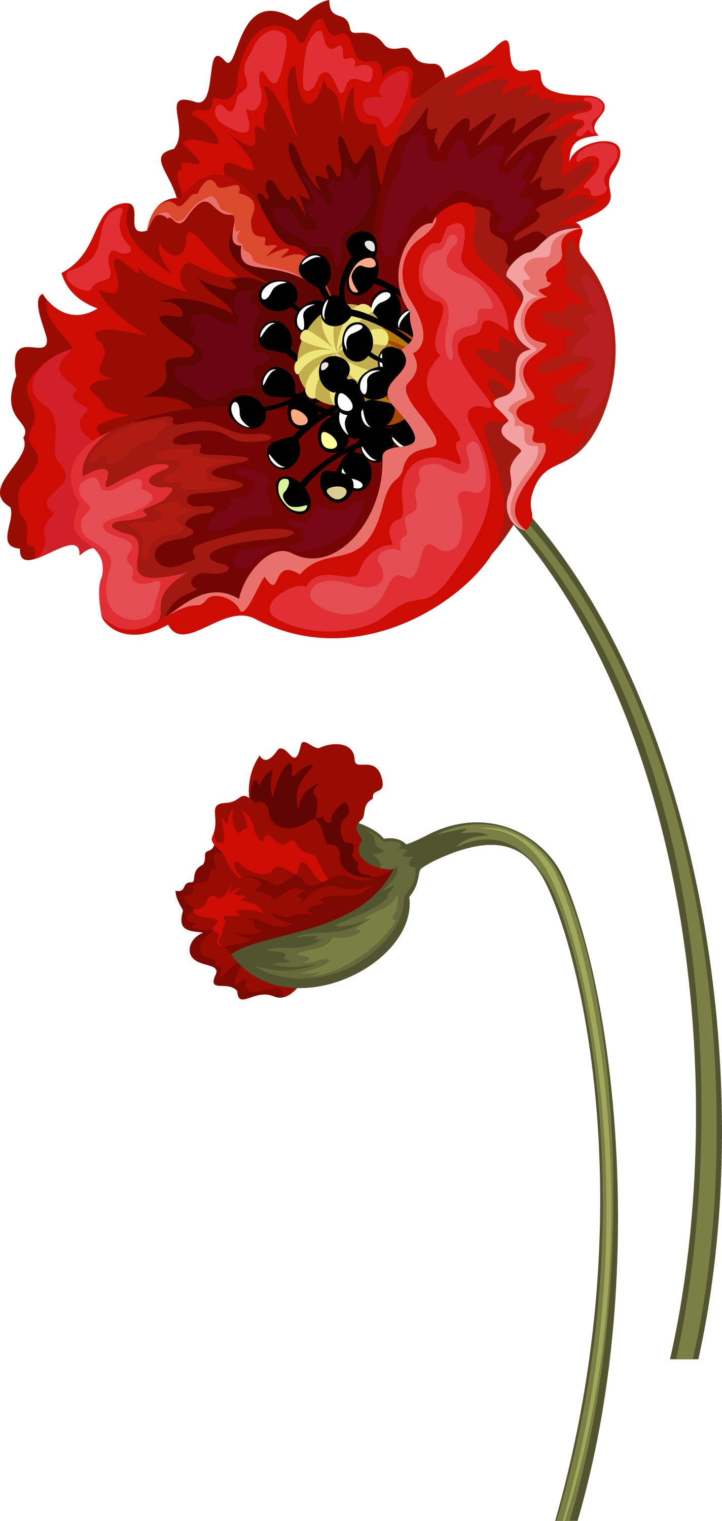 Flower Poppy Kapok Tree - Flower Poppy Kapok Tree (1424x3000)