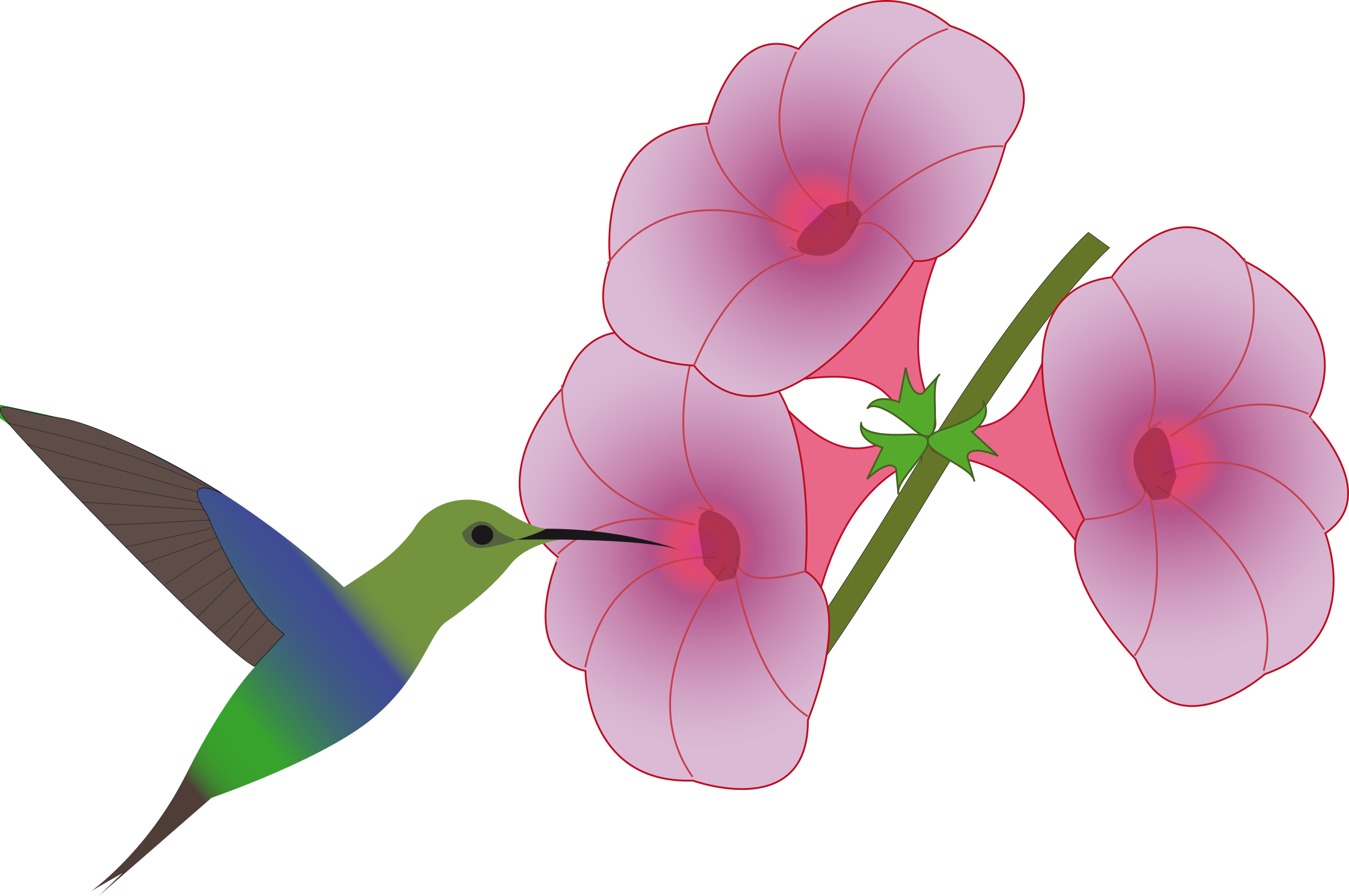 Big Image - Hummingbird With Flower Clip Art (2400x1595)