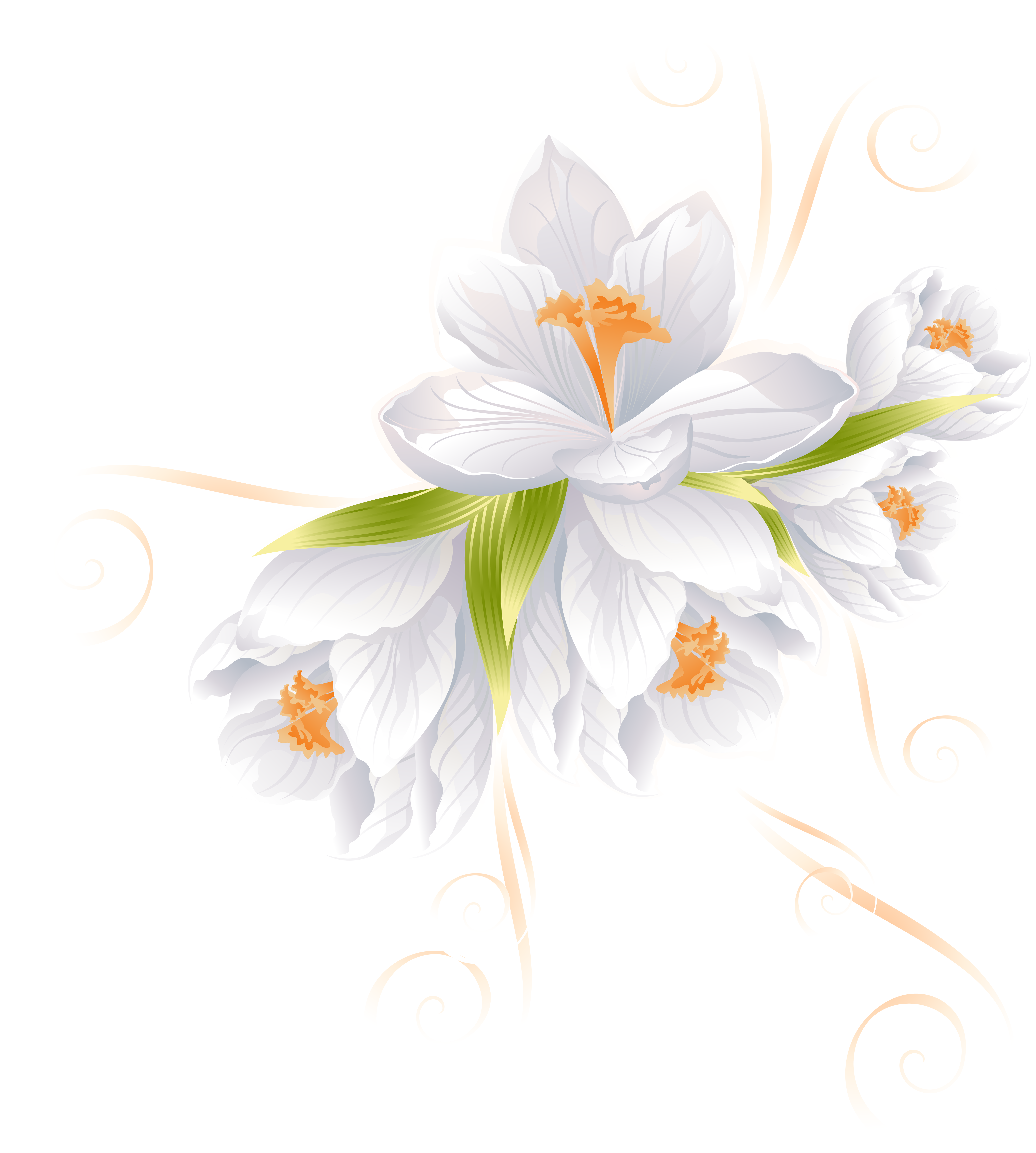 Белые рисунки пнг