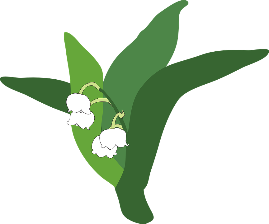 Humming Bird Cartoon 17, Buy Clip Art - Muguet Png (864x720)
