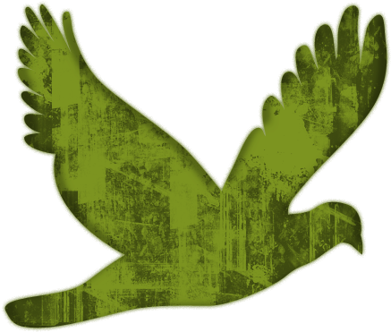 Flying Bird Clipart - Flying Bird Clipart (512x512)
