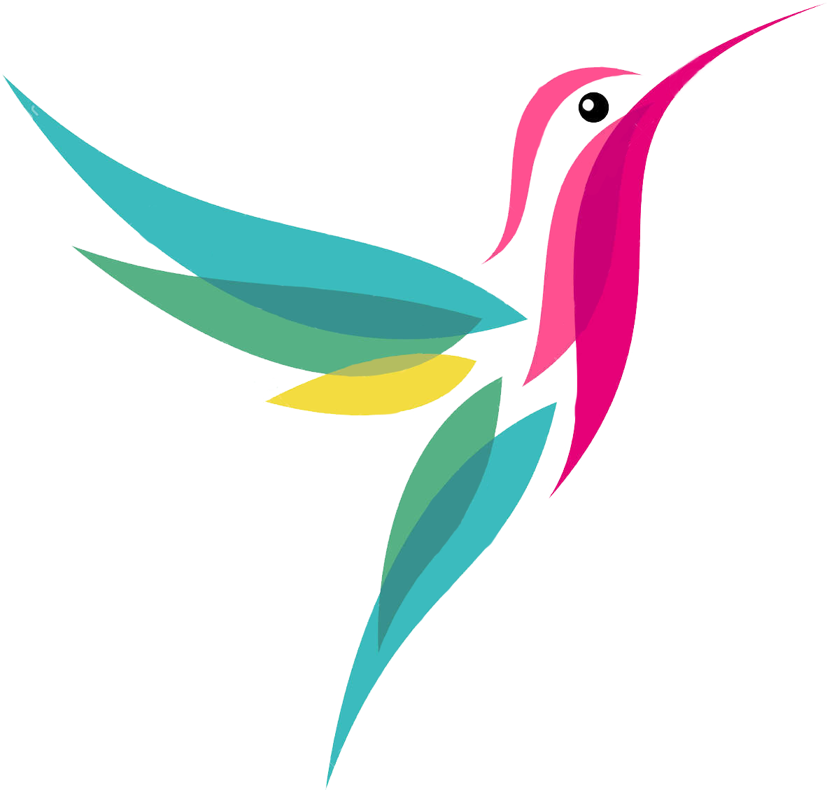 Colibrí, Colibrí, Colibrí - Hummingbird Design (1182x1128)