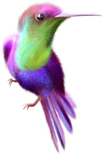 Beauty Hummingbird Free Clip Art - Clip Art (412x624)