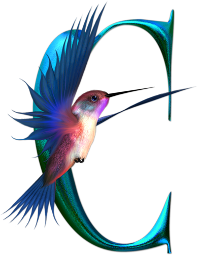 Picasa Web Albums - Letter (388x500)