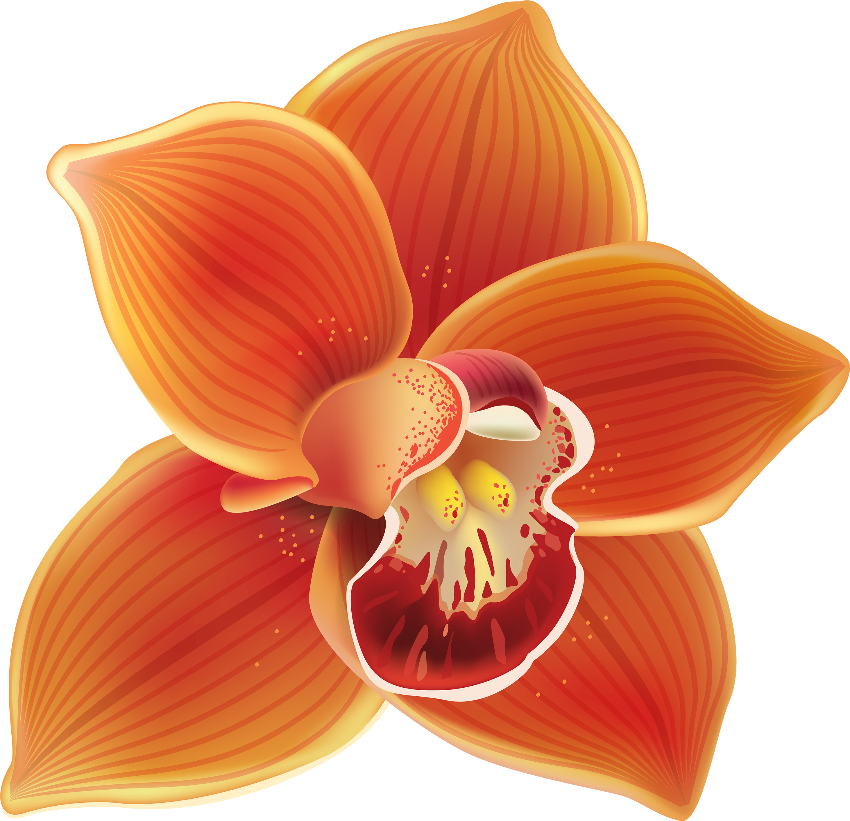 Orchid Clip Art - Orange Orchid Png (3000x2899)