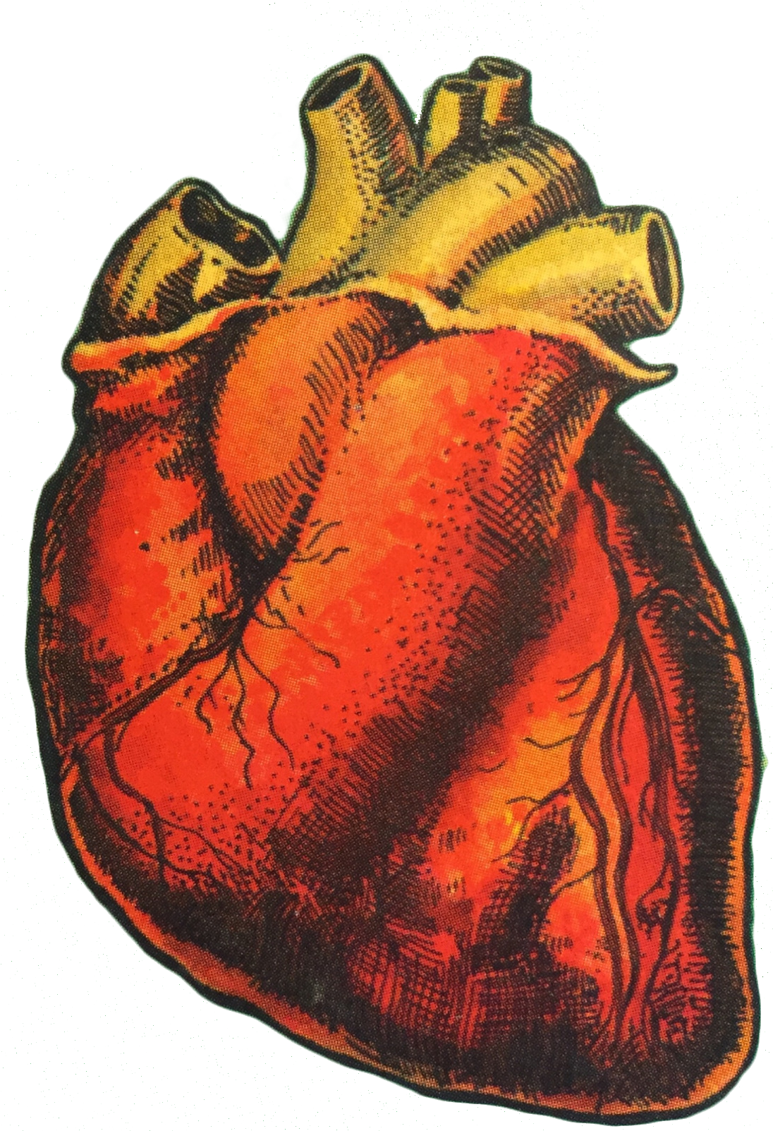 Transparent Aesthetic Humour *source - Png Tumblr Png Aesthetic (1191x1920)