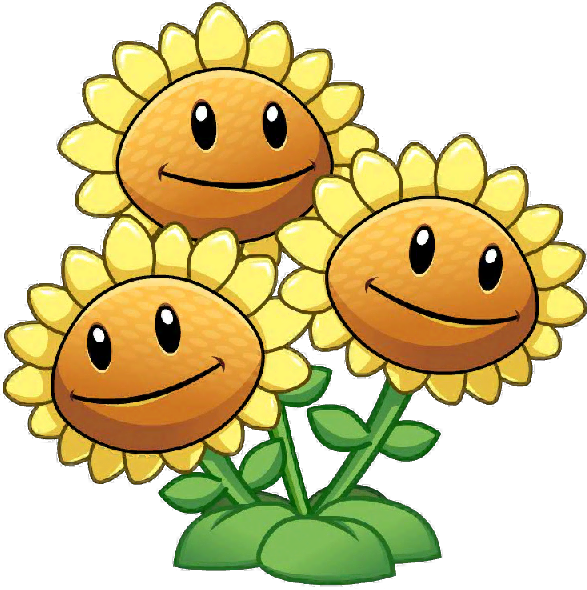 Three Head Sunflower Close Up - Sunflower Plants Vs Zombies (587x590)