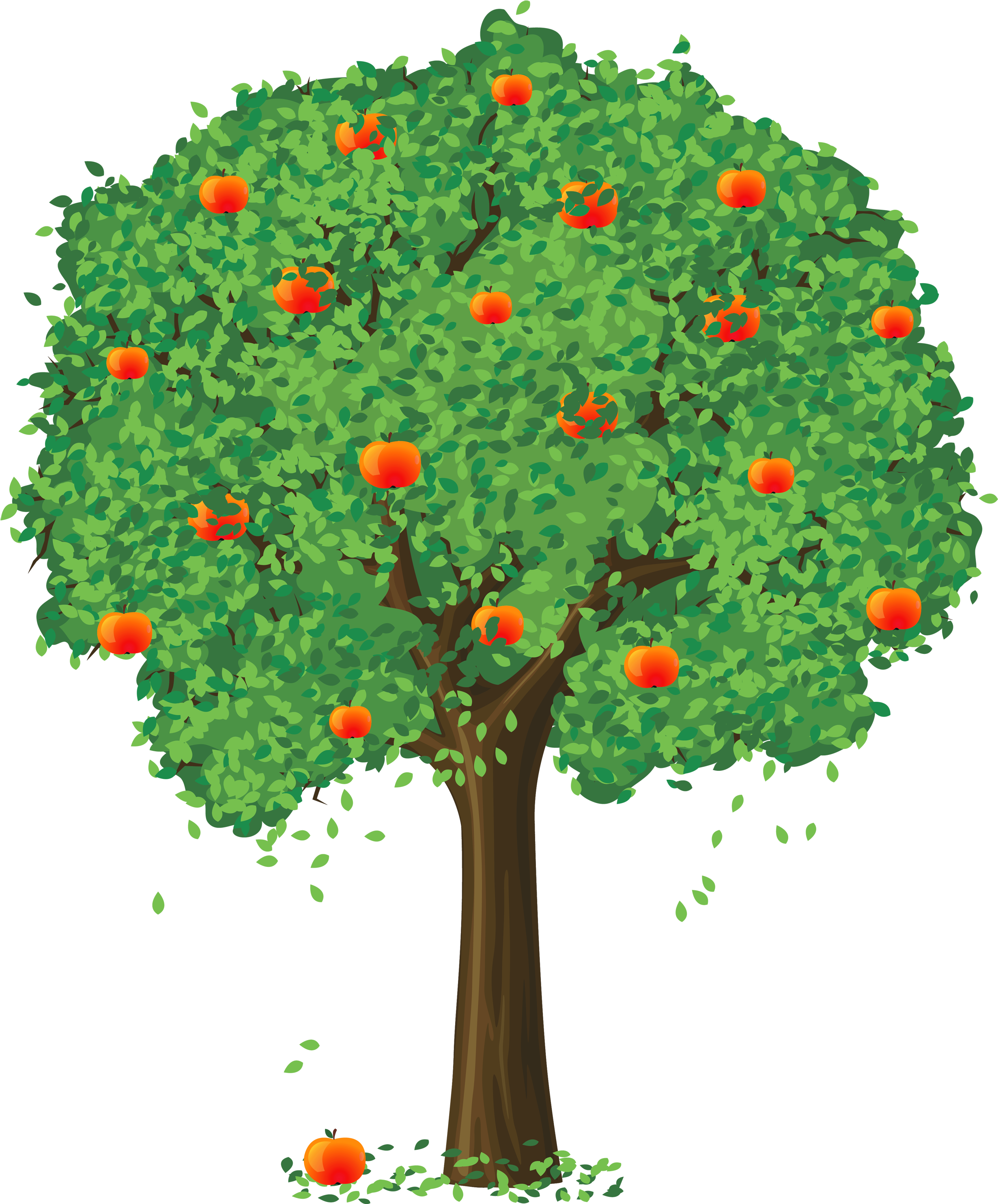 Orange Flower Clipart Apple - Tree Vector (2500x2997)