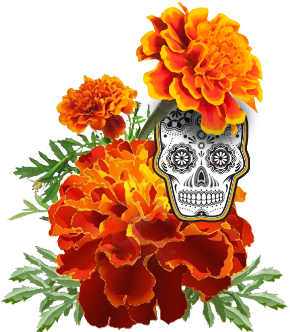 Clip Arts Related To - Dia De Los Muertos Skull (580x674)