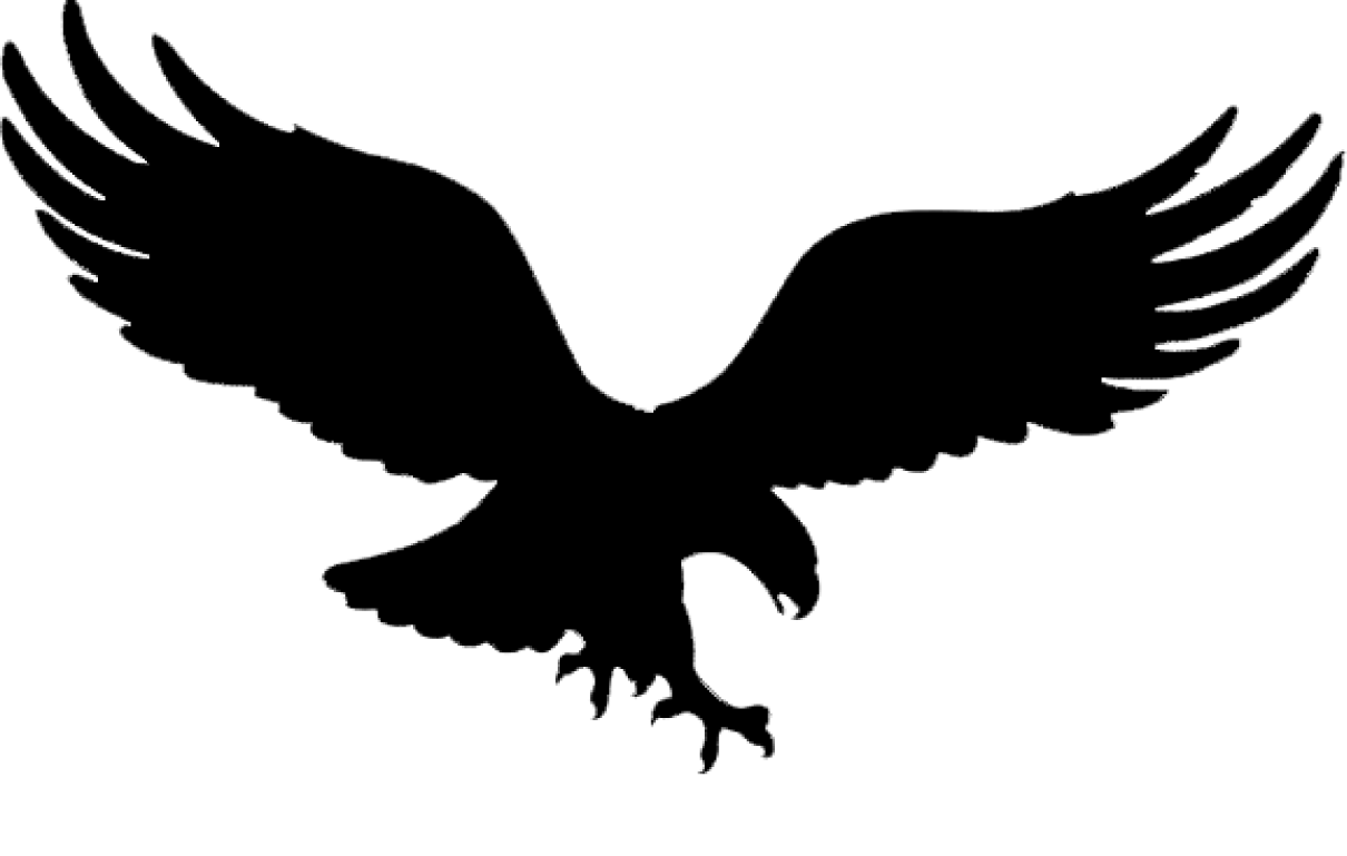 Kartal Logosu