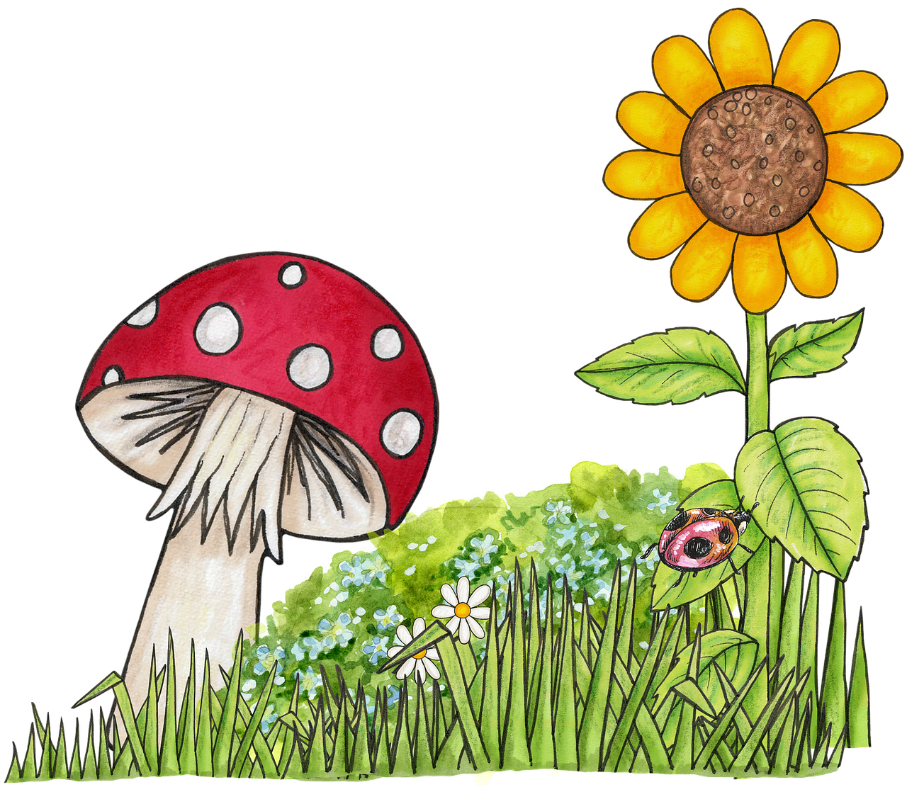 Bulk Herbs - Toadstool Clipart (1280x1111)