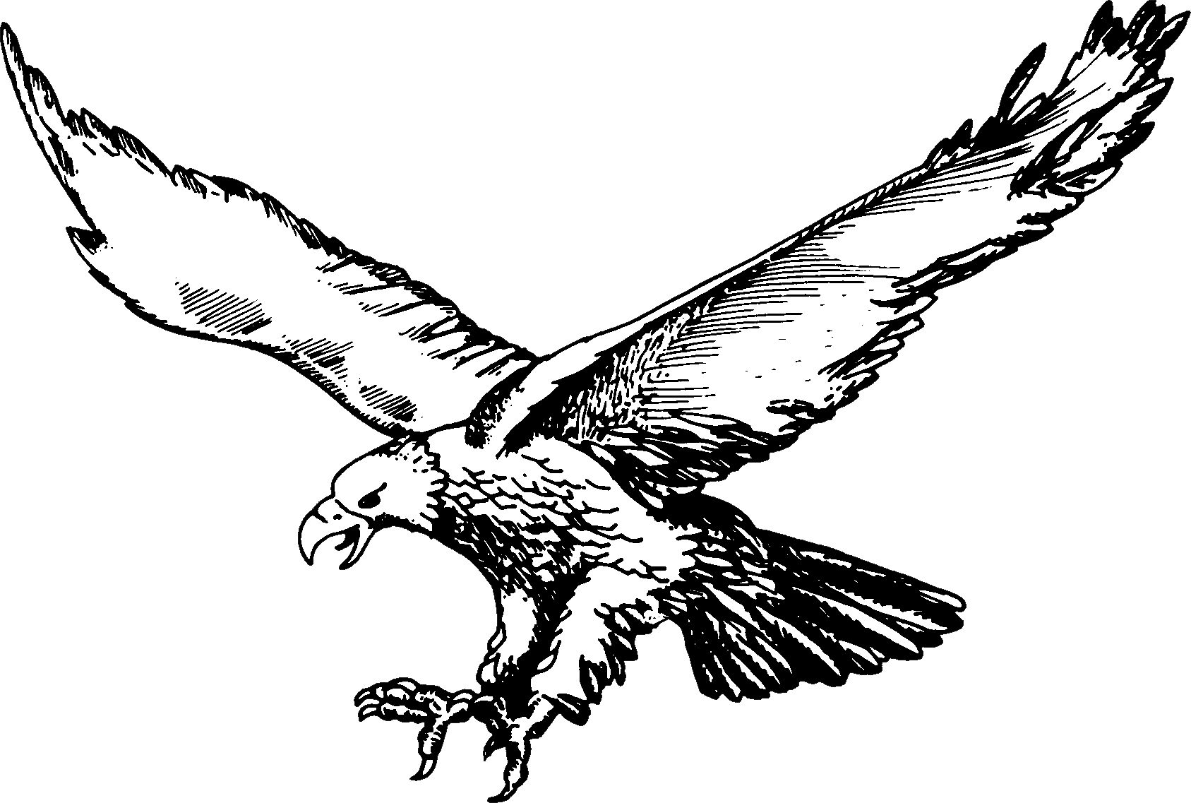 Philadelphia Eagles Logo Png Transparent Svg Vector - Philadelphia Eagles Logo Png Transparent Svg Vector (1687x1137)