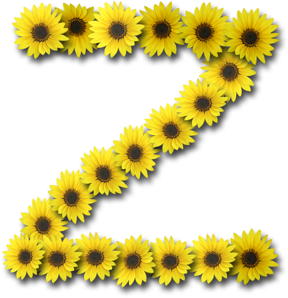 Capital Letter Z1 Sunflower - Common Sunflower (1200x1200)
