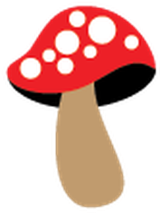 Cute Woodland And Forest Animals - Shiitake (381x399)