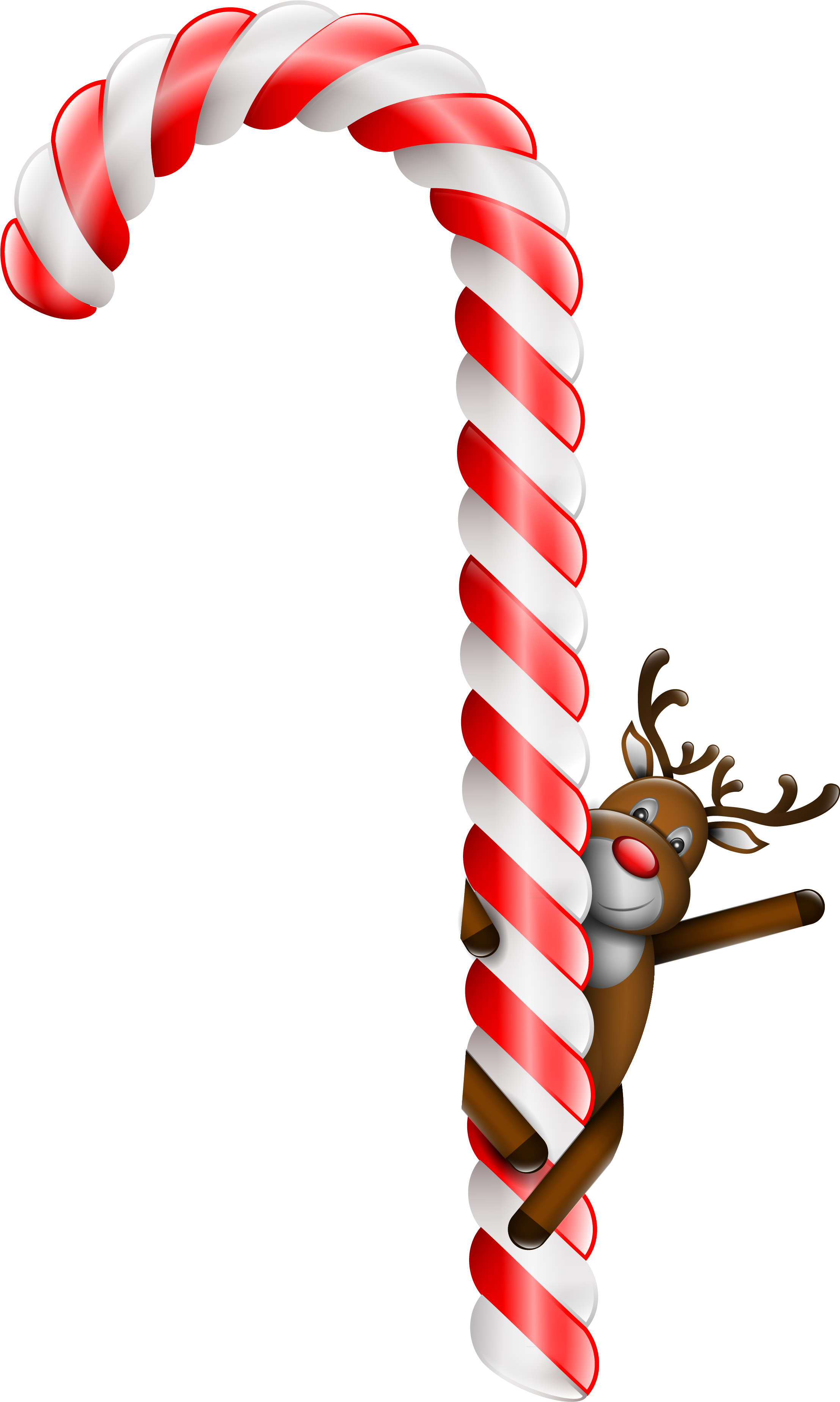 Candy Cane Clipart Transparent Background - Ren Auf Zuckerstange Postkarte (2304x3760)