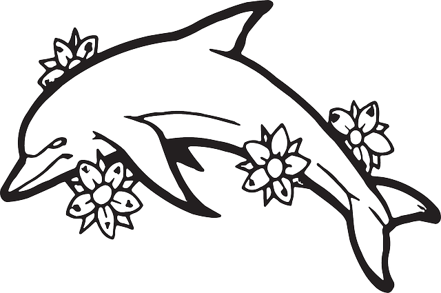 Dolphin Outline - Out Line Pictures Of Flowers (640x425)