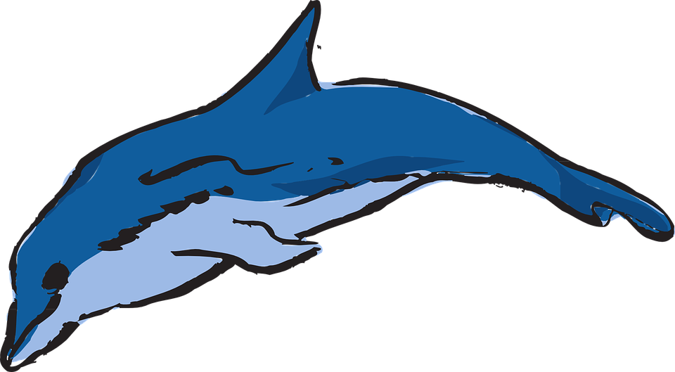Leaping Dolphin Svg Clip Arts 600 X 331 Px - Warna Ikan Lumba Lumba (1920x1059)