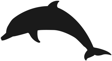 Image - Amazing Pictures Of Dolphins (512x512)