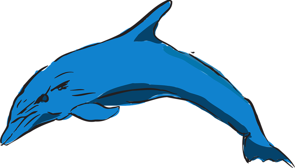 Dolphin (960x548)