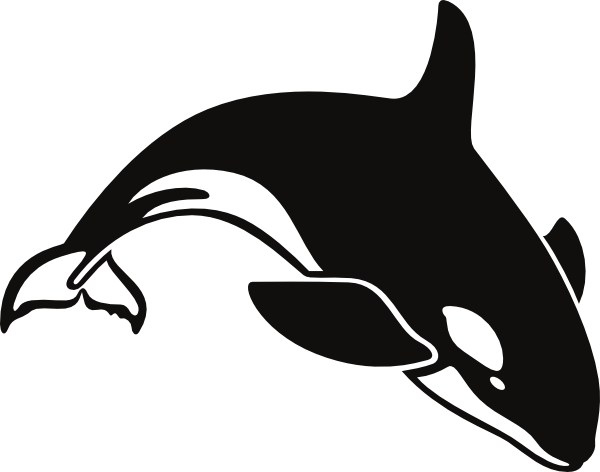 Killer Whale Humpback Whale Clip Art - Black And White Whale (600x472)