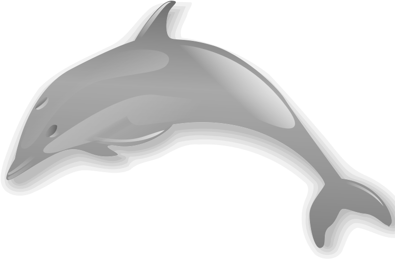 Dolphin Enrique Meza C 02 Clip Art Download - Navy 5'x7'area Rug (800x800)