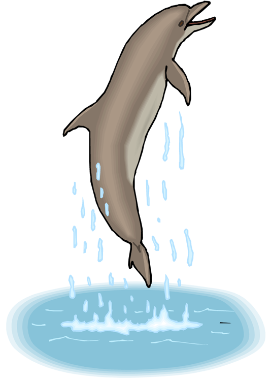 Jumping Dolphin - Dolphin (540x750)