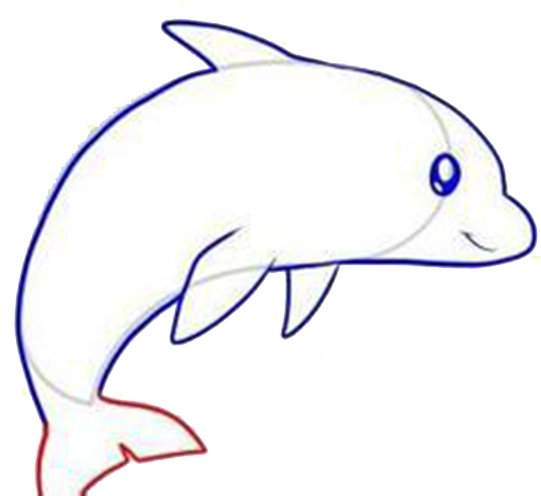 Drawing Dolphin Cartoon How-to Clip Art - Drawing Dolphin Cartoon How-to Clip Art (641x500)