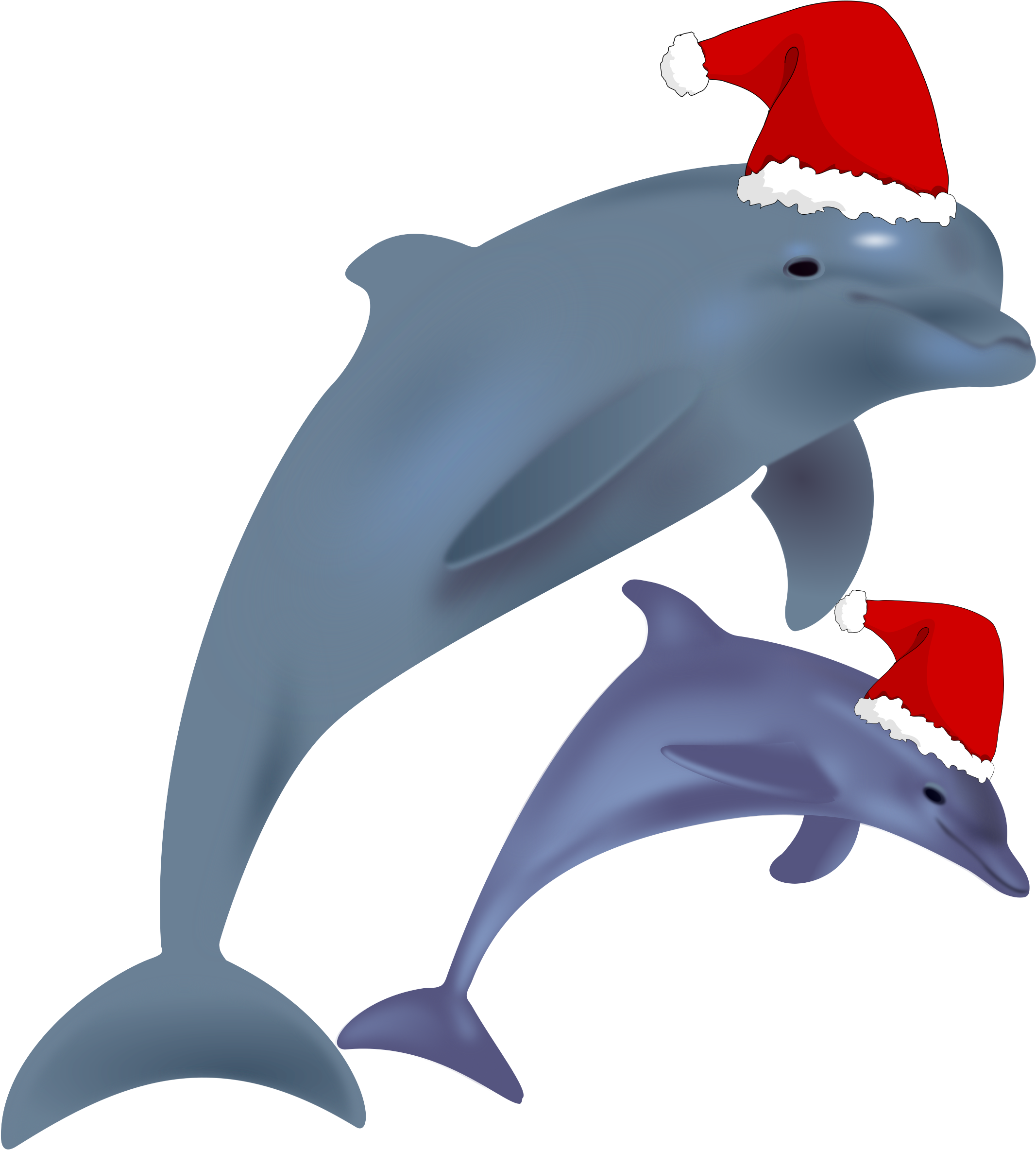 Bottlenose Dolphin Clip Art - Bottlenose Dolphin Clip Art (2400x2400)