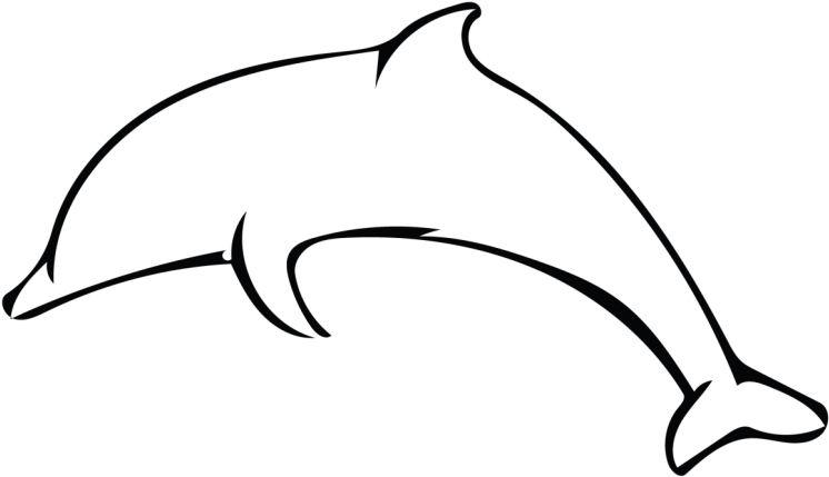 Dolphin Outline Savvy Dolphin Skillshare Projects Clipart - Dolphins Easy To Trace (800x450)