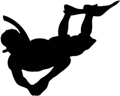 Dolphin Snorkeling Tour - Snorkeling Silhouette (420x420)