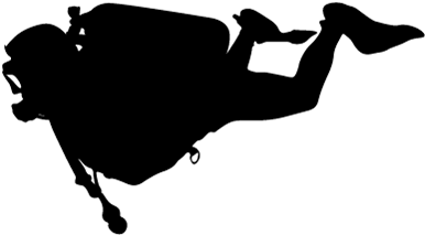 Scuba Diving Tour - Silhouette (420x421)