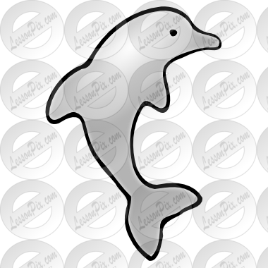 Dolphin Picture - Dolphin Picture (380x380)