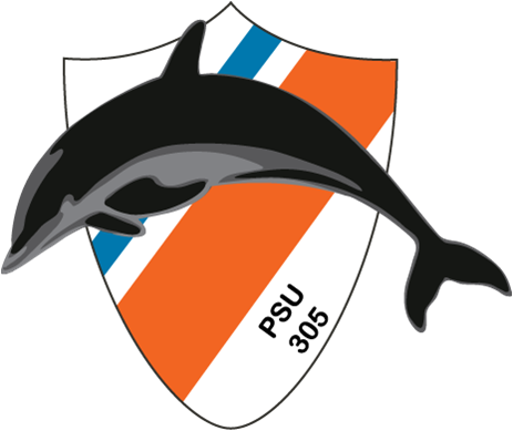 Port Security Unit 305, - Coast Guard Psu 305 (463x389)